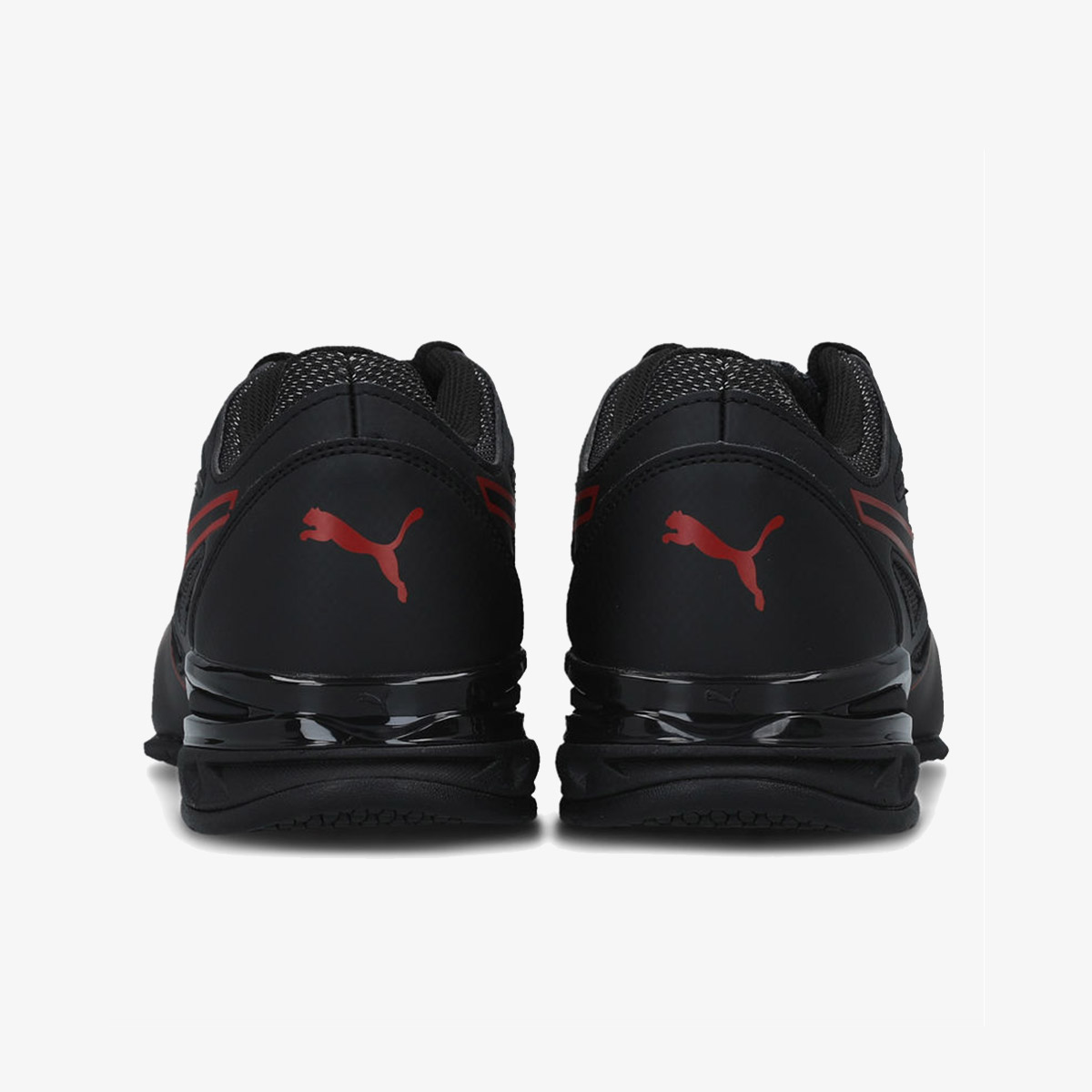 Tazon modern d puma store