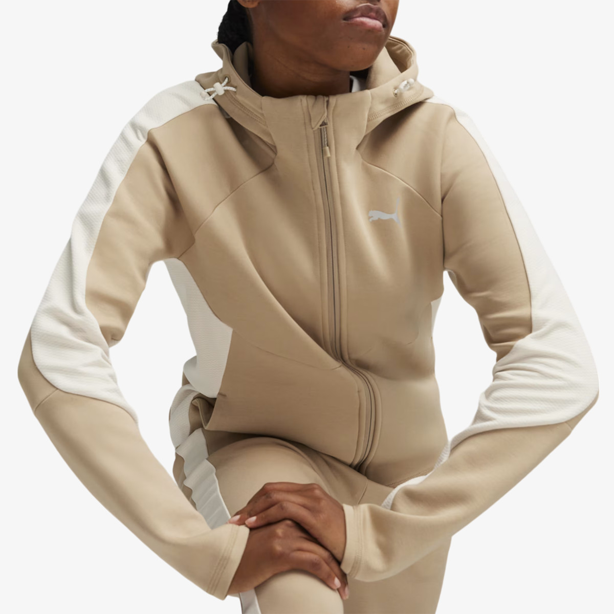 Puma PUMA EVOSTRIPE FZ Hoodie | Sport Reality