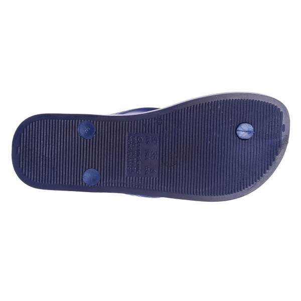 Ipanema Japanke ANATOMIC TEMAS II FEM 