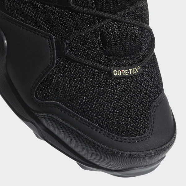 adidas TERREX AX2R GTX 
