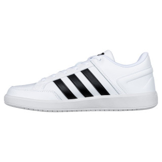 adidas Patike CF ALL COURT 