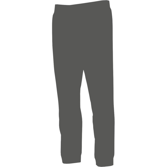 adidas Donji dio trenerke STADIUM PANT 
