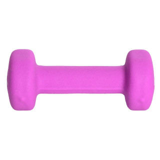 Teg CHAMPION HAND WEIGHT 1KG PURPLE 
