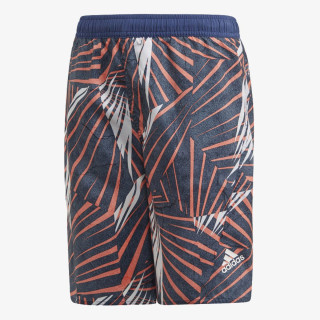 adidas Šorc YB BOARD SHORTS 