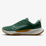 Nike Patike NIKE JUNIPER TRAIL 2 GTX V2 