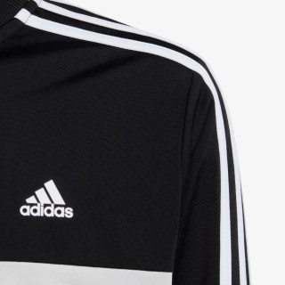 adidas Trenerka Tiberio 