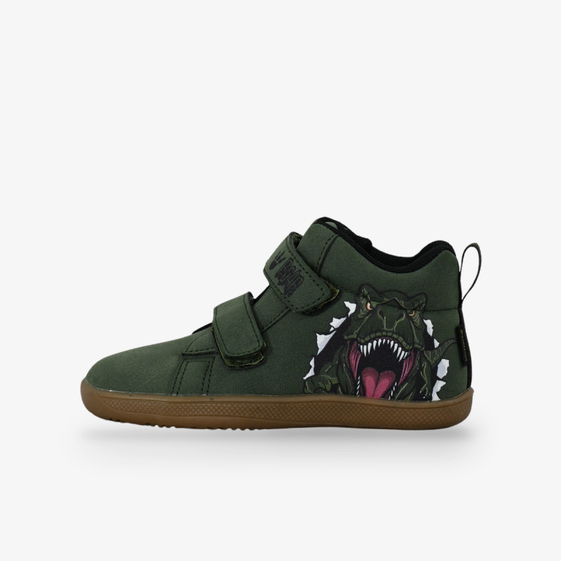 BDS DINOSAUR 